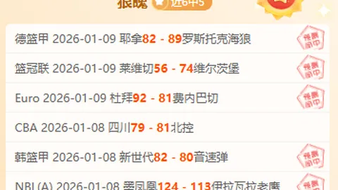揭秘NBA关键时刻对决：国王与灰熊巅峰对决临界值解析！